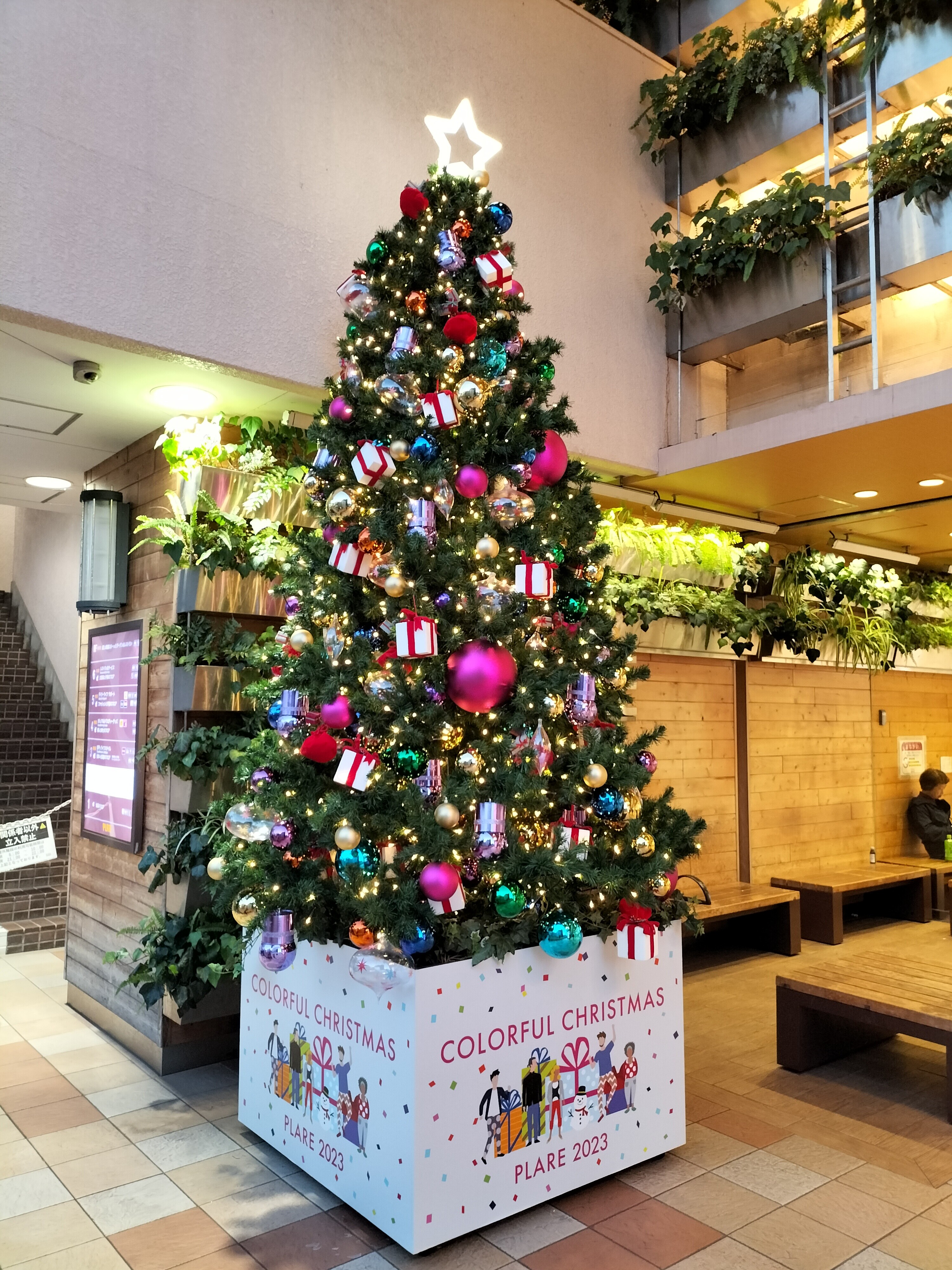 Colorful Christmas PLARE 2023